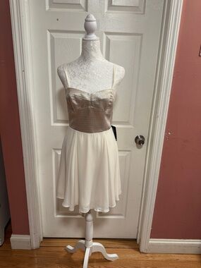 Express Ivory Chiffon Dress with Champagne Sequin Bodice NWT